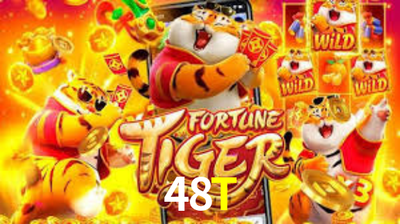 Premium Interface 48T